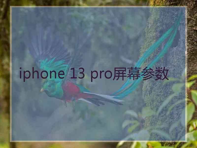 iphone 13 pro屏幕参数