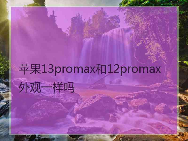 苹果13promax和12promax外观一样吗