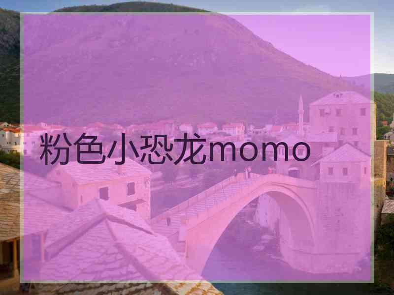 粉色小恐龙momo