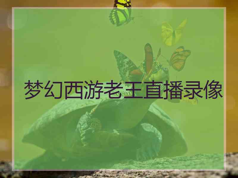 梦幻西游老王直播录像