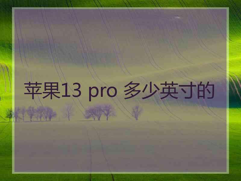 苹果13 pro 多少英寸的