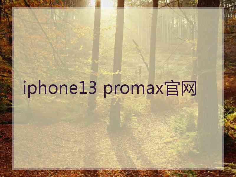 iphone13 promax官网