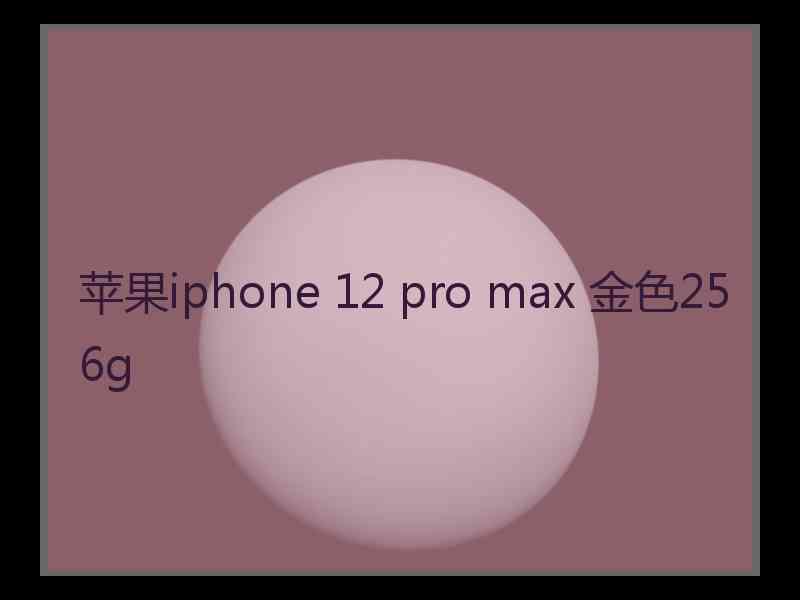 苹果iphone 12 pro max 金色256g