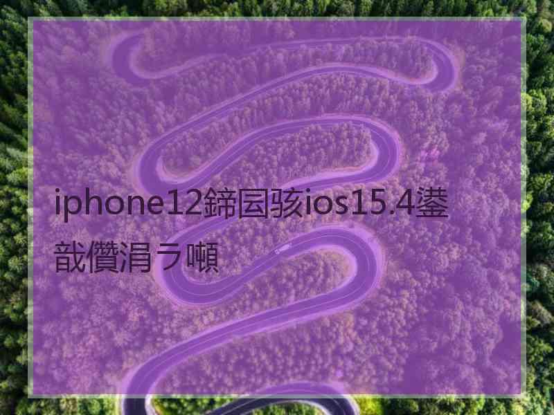 iphone12鍗囩骇ios15.4鍙戠儹涓ラ噸