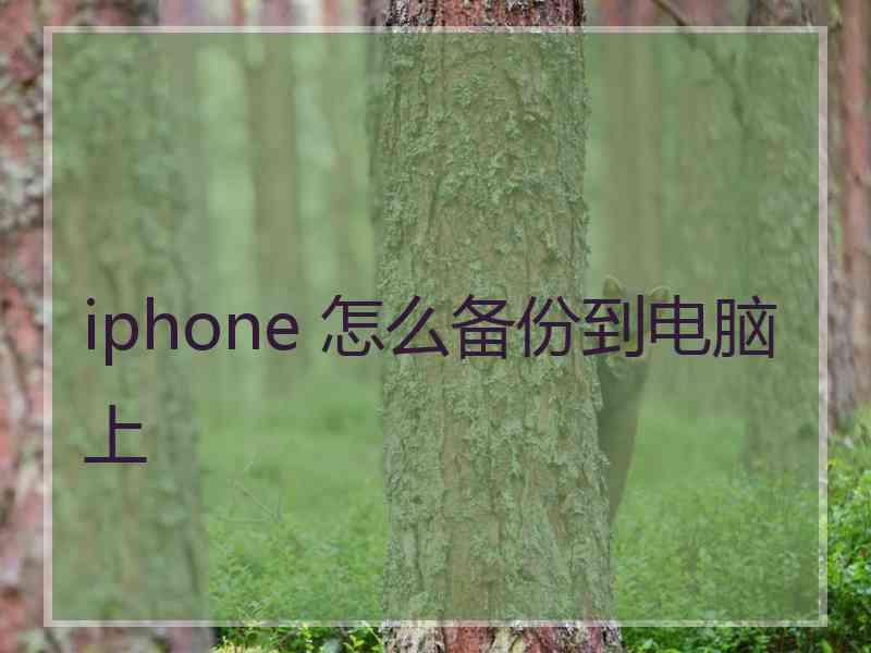 iphone 怎么备份到电脑上