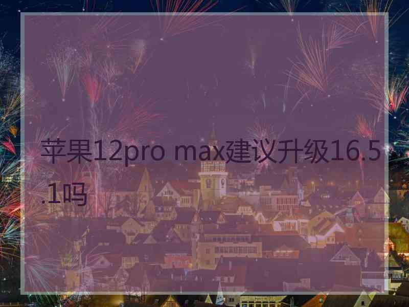 苹果12pro max建议升级16.5.1吗