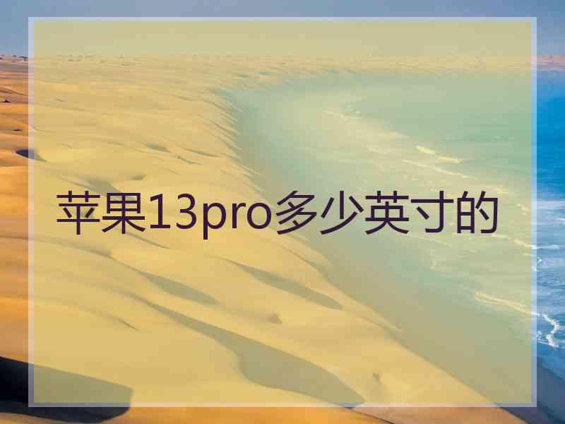 苹果13pro多少英寸的