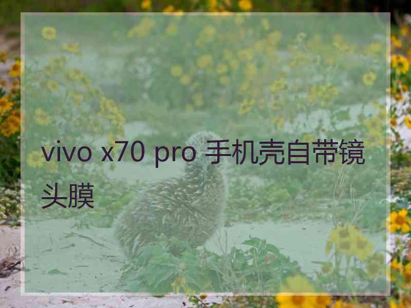 vivo x70 pro 手机壳自带镜头膜