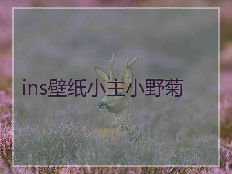 ins壁纸小主小野菊