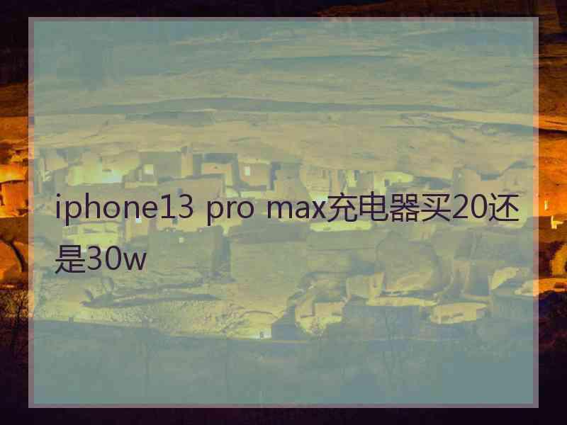 iphone13 pro max充电器买20还是30w