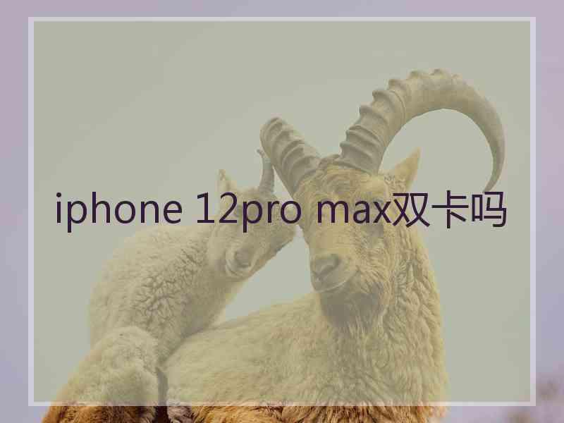 iphone 12pro max双卡吗