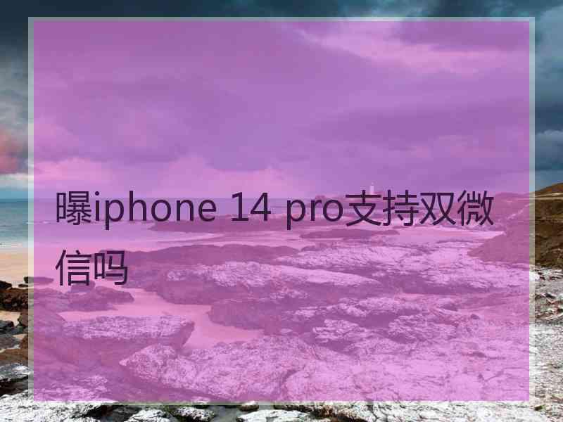 曝iphone 14 pro支持双微信吗