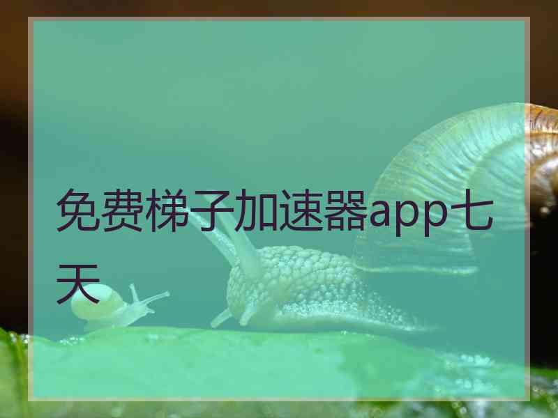 免费梯子加速器app七天