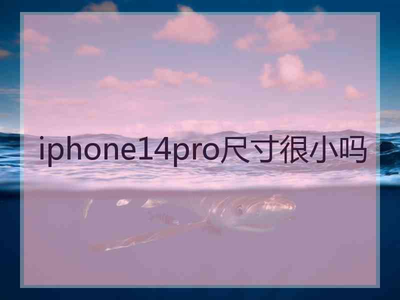 iphone14pro尺寸很小吗