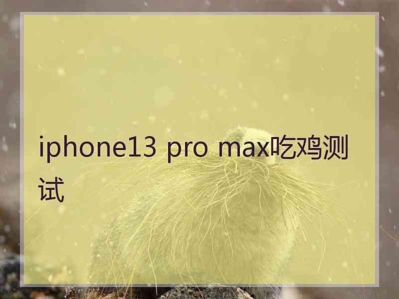 iphone13 pro max吃鸡测试