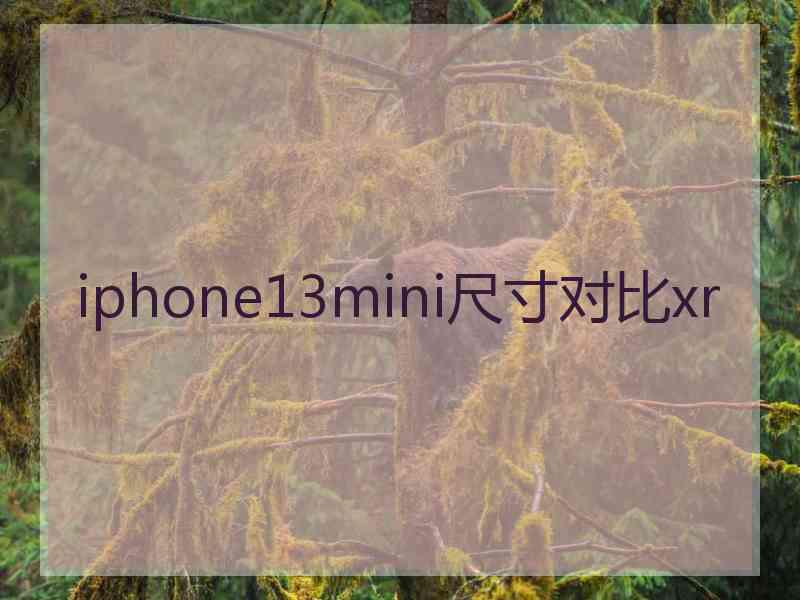 iphone13mini尺寸对比xr