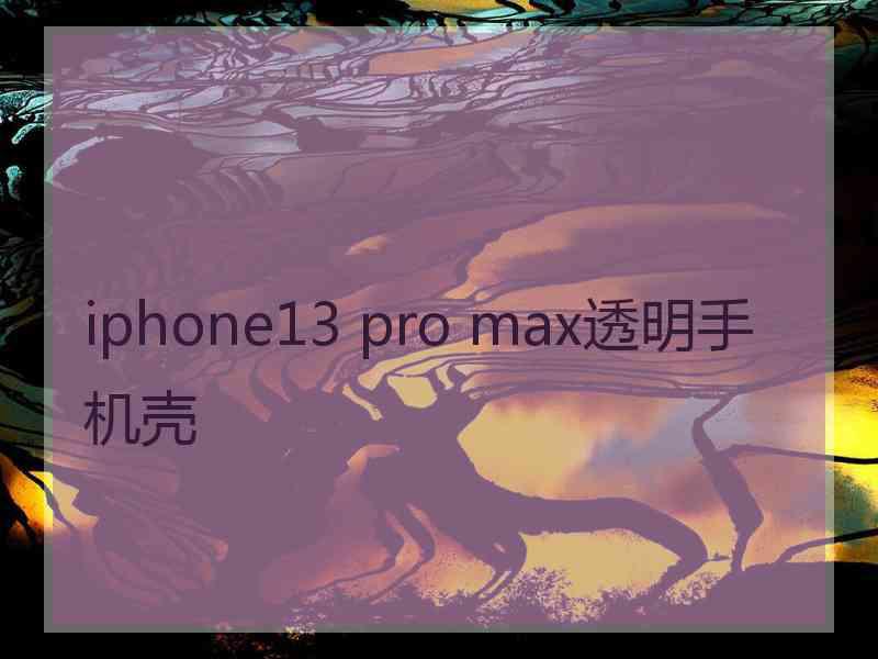 iphone13 pro max透明手机壳