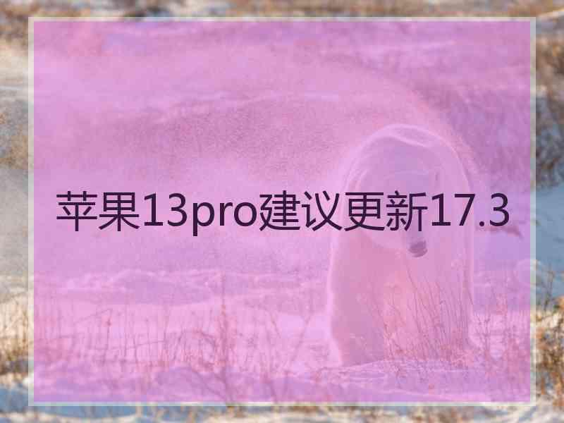 苹果13pro建议更新17.3