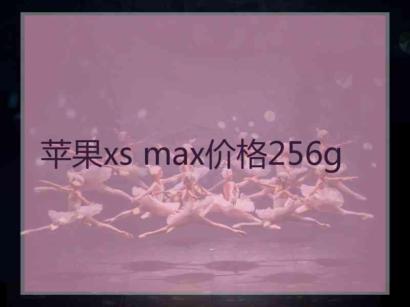 苹果xs max价格256g