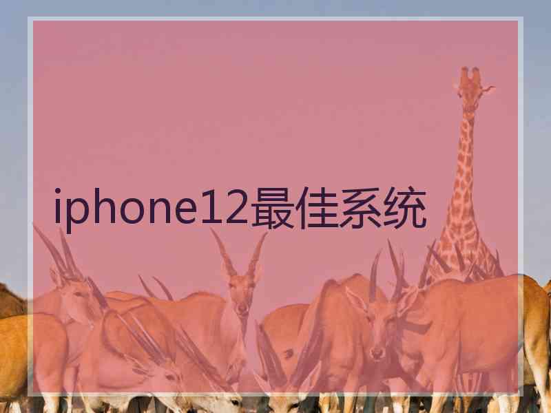 iphone12最佳系统