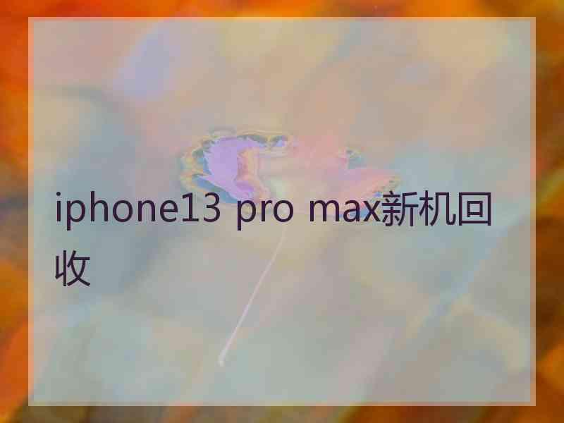 iphone13 pro max新机回收