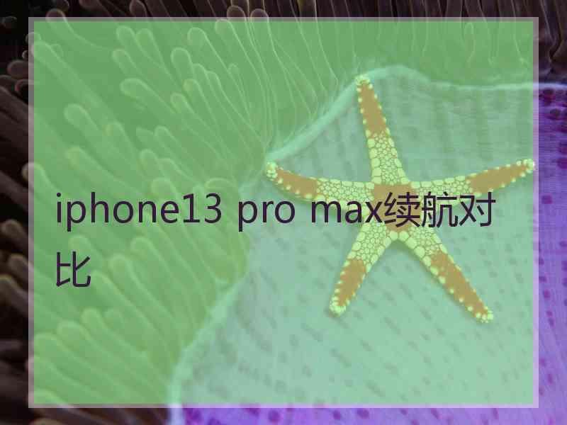 iphone13 pro max续航对比