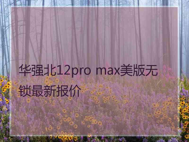 华强北12pro max美版无锁最新报价