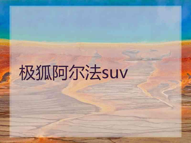 极狐阿尔法suv