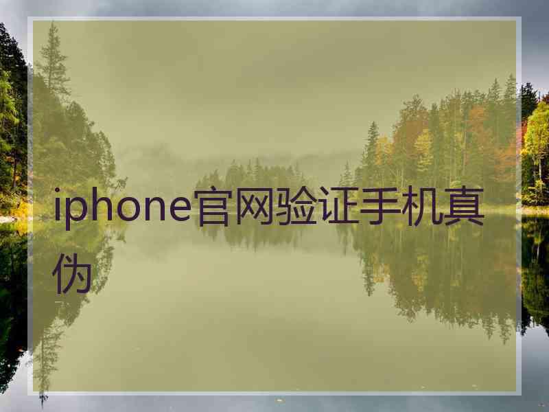 iphone官网验证手机真伪