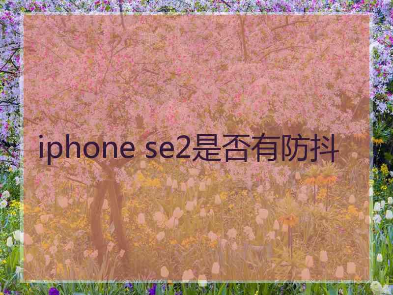 iphone se2是否有防抖