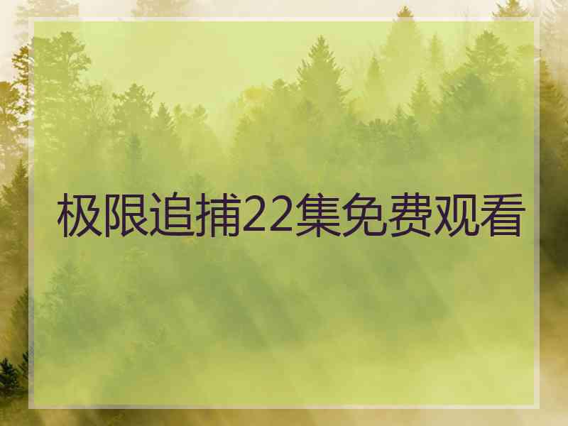 极限追捕22集免费观看