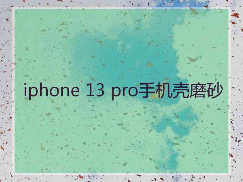 iphone 13 pro手机壳磨砂