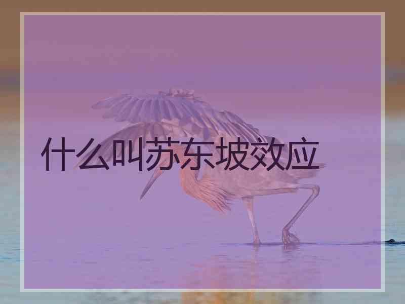 什么叫苏东坡效应