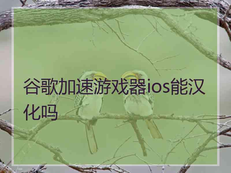 谷歌加速游戏器ios能汉化吗