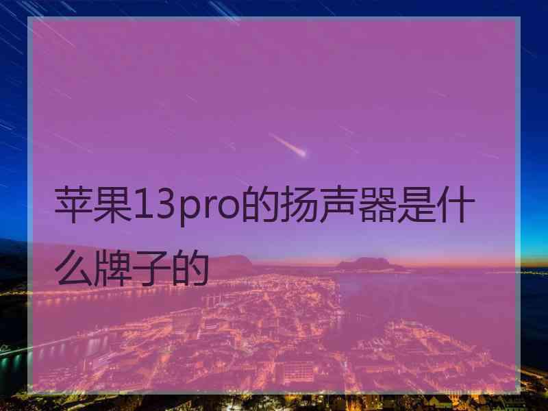 苹果13pro的扬声器是什么牌子的