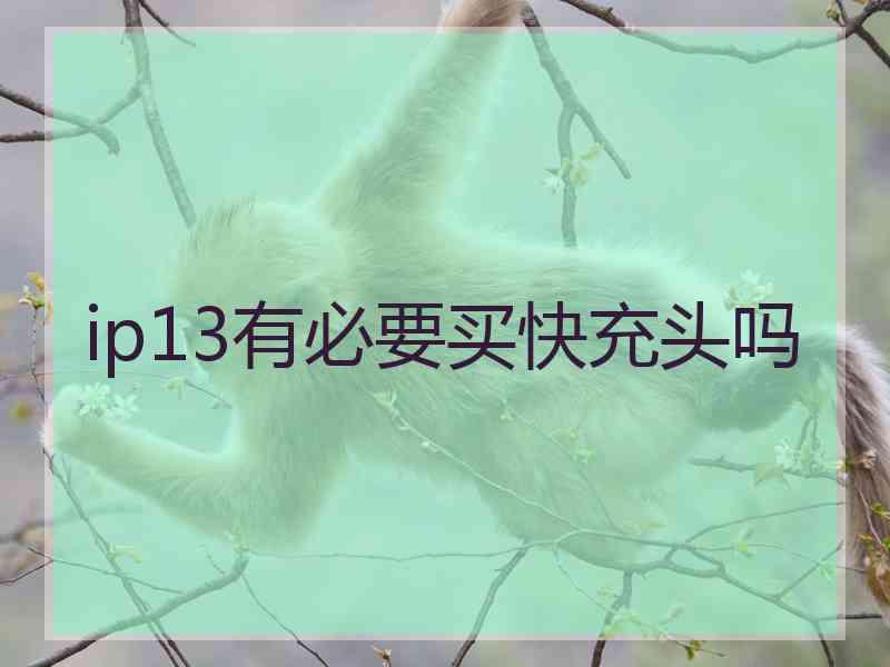 ip13有必要买快充头吗