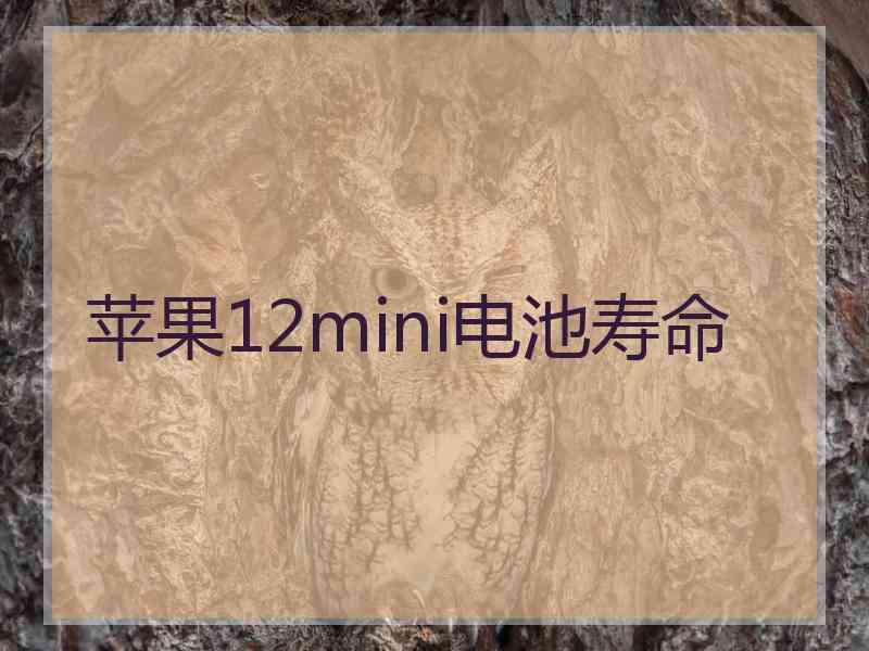 苹果12mini电池寿命