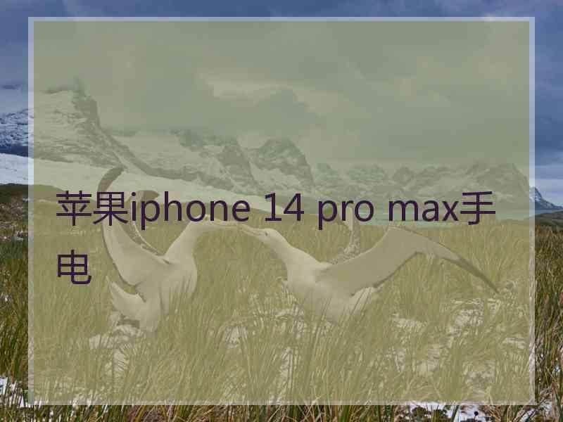 苹果iphone 14 pro max手电