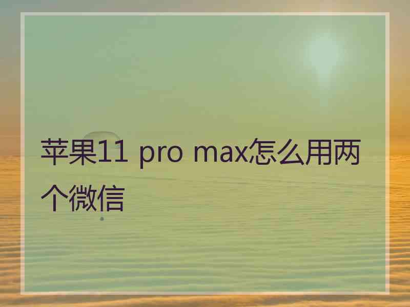 苹果11 pro max怎么用两个微信