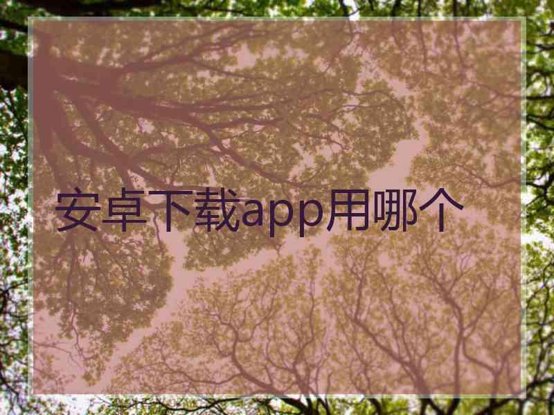 安卓下载app用哪个