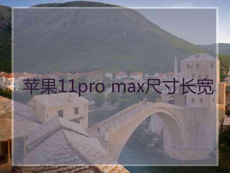 苹果11pro max尺寸长宽