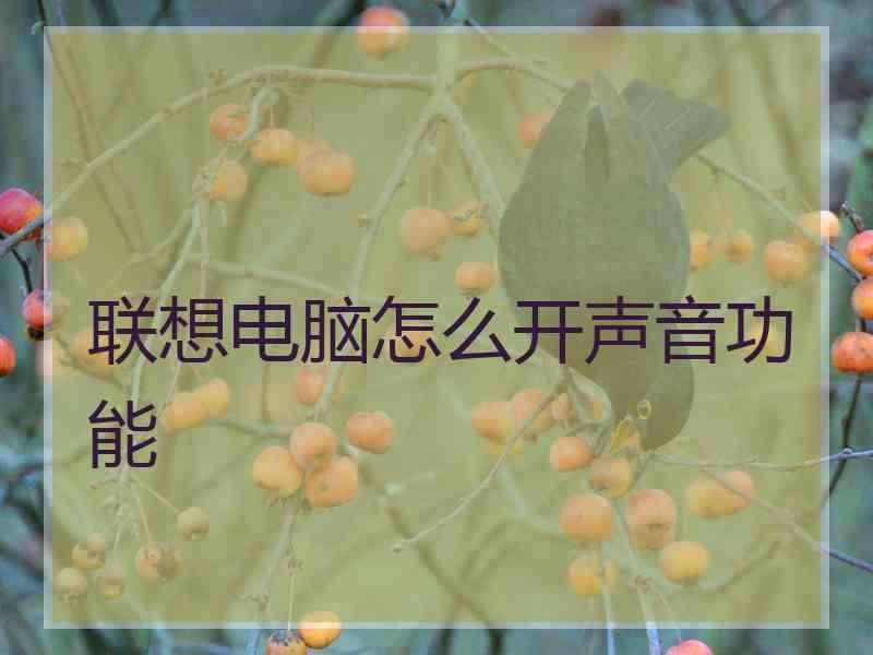 联想电脑怎么开声音功能