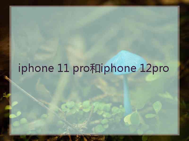 iphone 11 pro和iphone 12pro