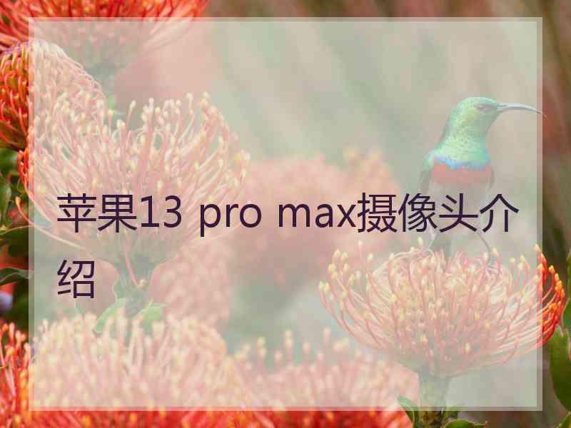 苹果13 pro max摄像头介绍