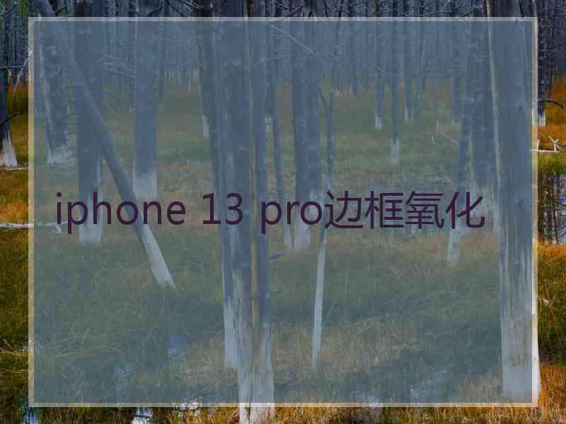 iphone 13 pro边框氧化