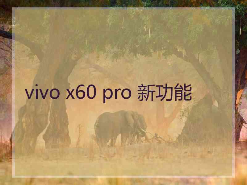 vivo x60 pro 新功能