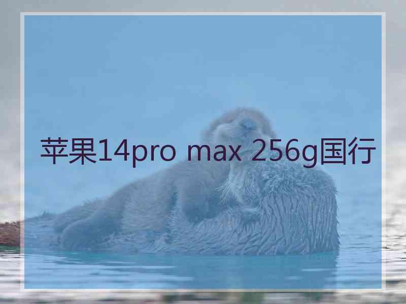 苹果14pro max 256g国行