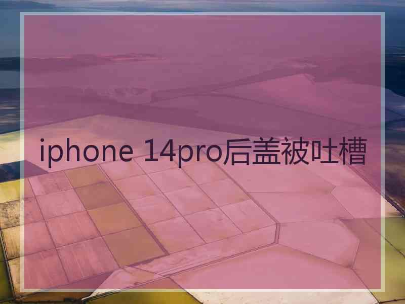 iphone 14pro后盖被吐槽