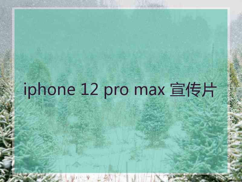 iphone 12 pro max 宣传片