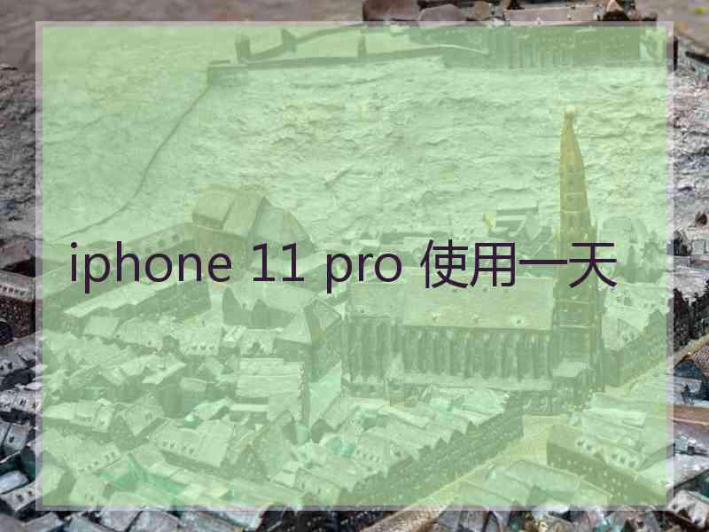 iphone 11 pro 使用一天